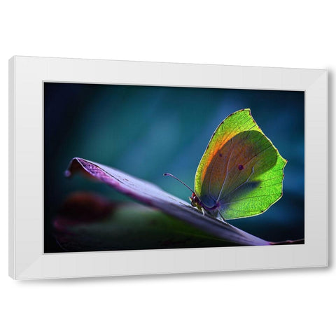 La Cleopatra White Modern Wood Framed Art Print by Hoffman, Jimmy