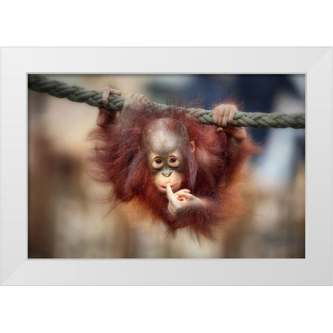 The Big Query White Modern Wood Framed Art Print by Wenner-Braun, Antje