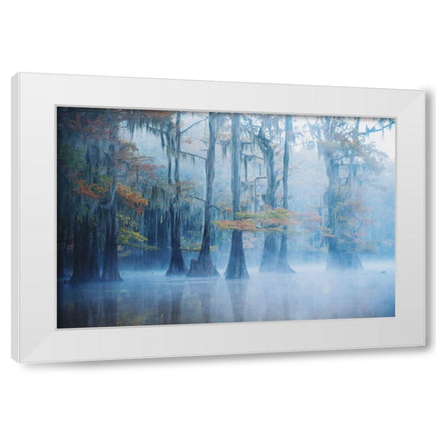 Foggy Swamp Morning White Modern Wood Framed Art Print by H., Aijing