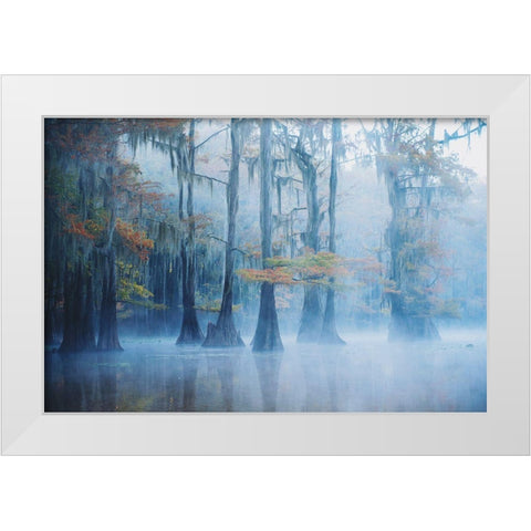 Foggy Swamp Morning White Modern Wood Framed Art Print by H., Aijing