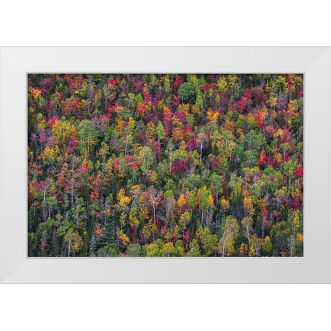 Color Palette White Modern Wood Framed Art Print by Miroslaw