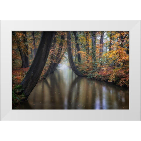 Enchanted Autumn White Modern Wood Framed Art Print by Carozzi, Fiorenzo