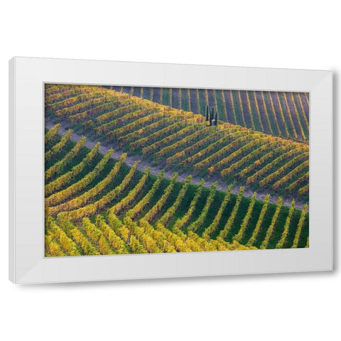 Vineyards White Modern Wood Framed Art Print by Carozzi, Fiorenzo