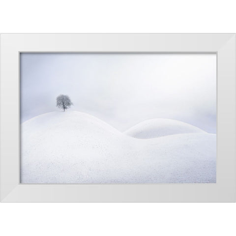 Untitled White Modern Wood Framed Art Print by Tanev, Todor