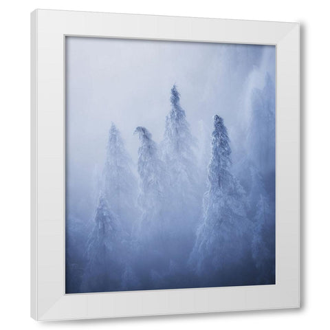 Ghosts White Modern Wood Framed Art Print by Krivec, Ales