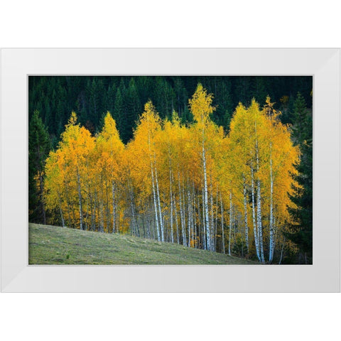 Autumn White Modern Wood Framed Art Print by Hamiti, Bess
