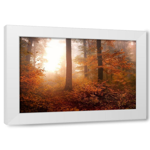 Autumn White Modern Wood Framed Art Print by Irmawarth