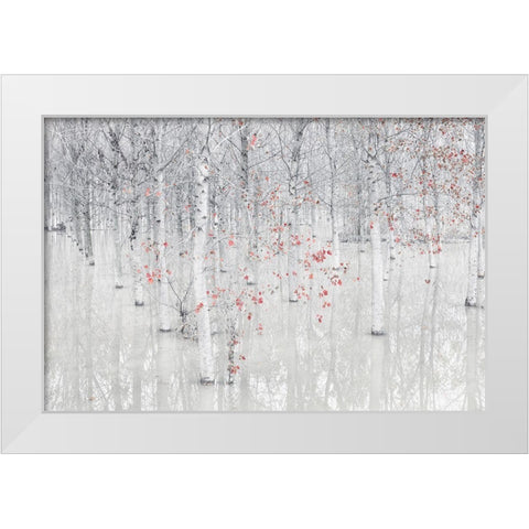 Red A White White Modern Wood Framed Art Print by Carozzi, Fiorenzo