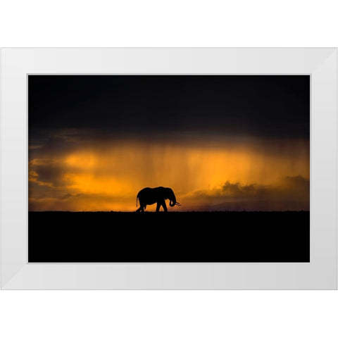 Elephant In A Rain Storm At Sunset White Modern Wood Framed Art Print by Ortega, Xavier