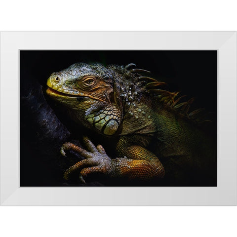 Time Of Molting White Modern Wood Framed Art Print by Pascual Buye, Santiago