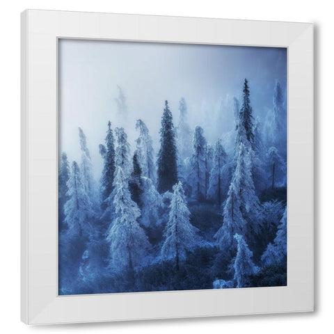 Enchanted Forest White Modern Wood Framed Art Print by Krivec, Ales