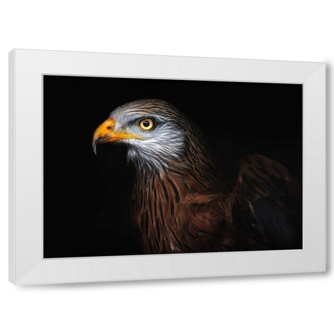 Red Kite Portrait Ii White Modern Wood Framed Art Print by Pascual Buye, Santiago