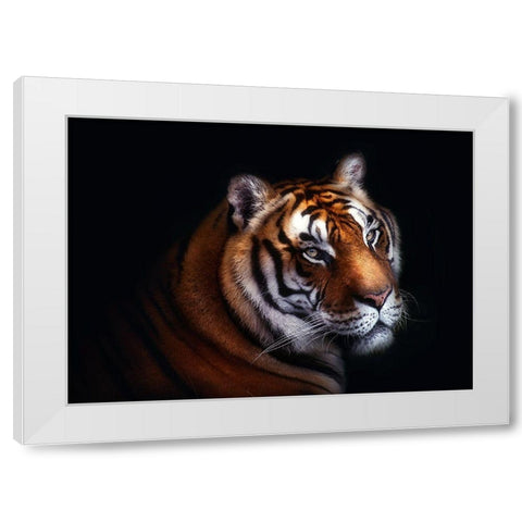 Tiger White Modern Wood Framed Art Print by Pascual Buye, Santiago