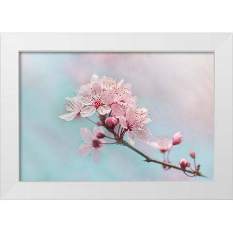 Fresh White Modern Wood Framed Art Print by Parker, Jacky