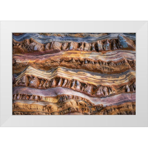 Abstractions In Nature White Modern Wood Framed Art Print by Dingemans, Saskia