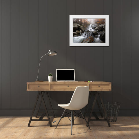 Autumn Fog White Modern Wood Framed Art Print by Tavani, Francesco