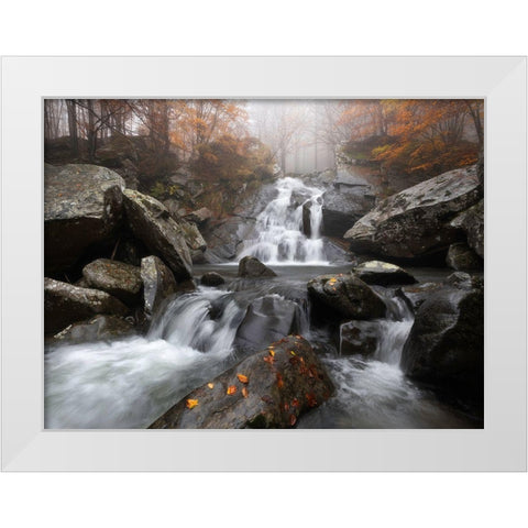 Autumn Fog White Modern Wood Framed Art Print by Tavani, Francesco