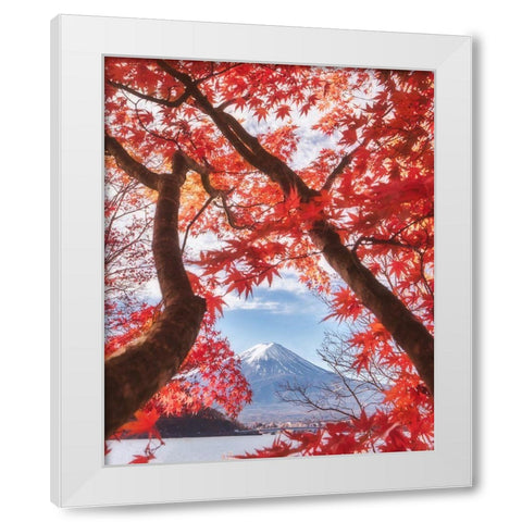Mt.Fuji Is In The Autumn Leaves White Modern Wood Framed Art Print by Samejima, Makiko