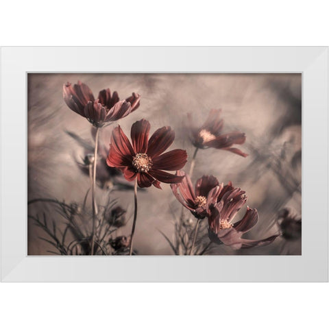 Cosmos 2019 White Modern Wood Framed Art Print by Bravin, Fabien