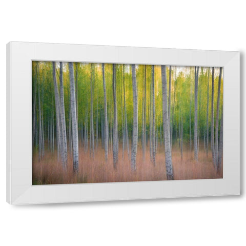 Intentional Camera Movement White Modern Wood Framed Art Print by Lindsten, Christian