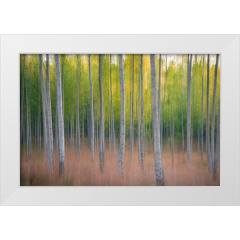Intentional Camera Movement White Modern Wood Framed Art Print by Lindsten, Christian