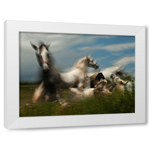 Play ground White Modern Wood Framed Art Print by Malovrh, Milan