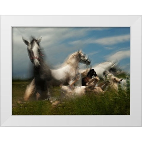 Play ground White Modern Wood Framed Art Print by Malovrh, Milan