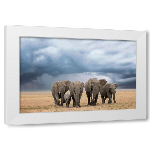 Elephant Walk White Modern Wood Framed Art Print by Doyle, Renee
