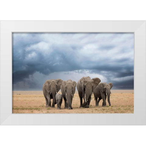 Elephant Walk White Modern Wood Framed Art Print by Doyle, Renee