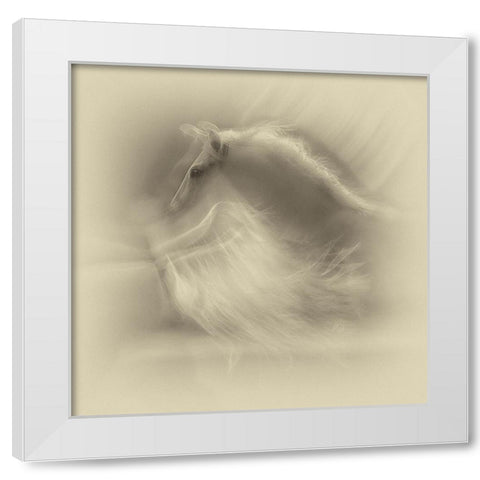 White On White White Modern Wood Framed Art Print by Malovrh, Milan