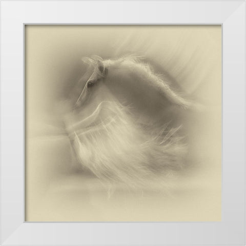 White On White White Modern Wood Framed Art Print by Malovrh, Milan