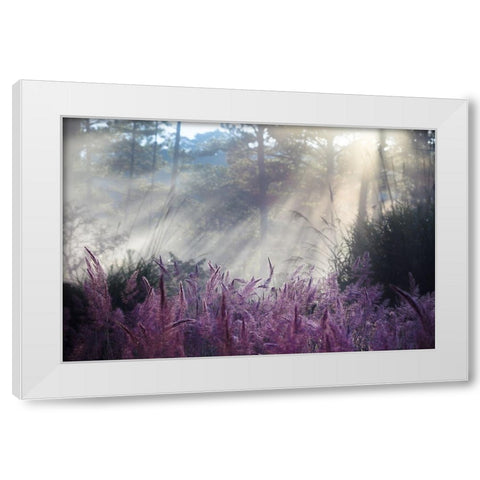 Spring White Modern Wood Framed Art Print by Thanh Tung, Nguyen