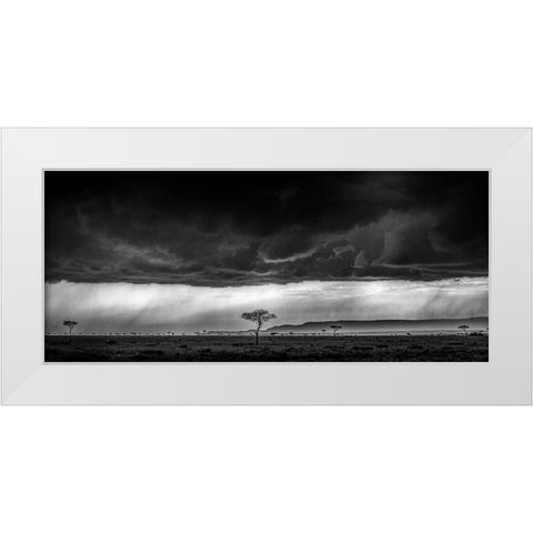 Serengeti Storm - Monochrome White Modern Wood Framed Art Print by C. Sink, Jeffrey