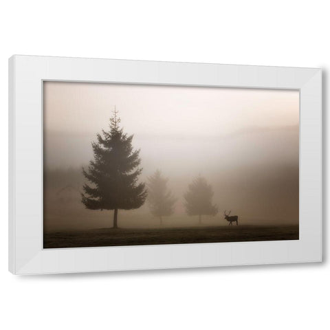 Looking For Love White Modern Wood Framed Art Print by Bruna, Marco