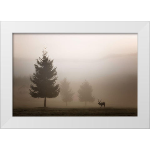 Looking For Love White Modern Wood Framed Art Print by Bruna, Marco