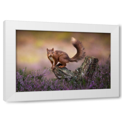 Above The Heathers White Modern Wood Framed Art Print by O Mahony, Kieran