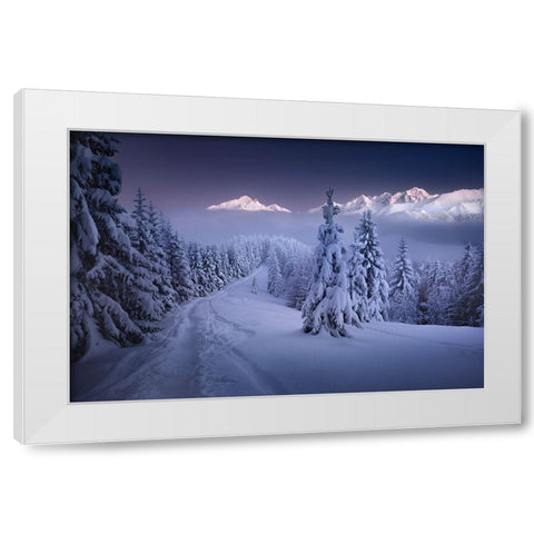 In The Winter White Modern Wood Framed Art Print by Nienartowicz, Karol