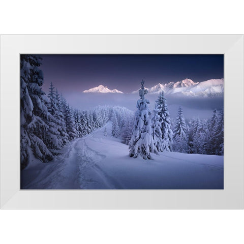 In The Winter White Modern Wood Framed Art Print by Nienartowicz, Karol