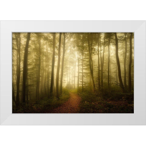 Charm Of The Ephemeral White Modern Wood Framed Art Print by Maier, Norbert