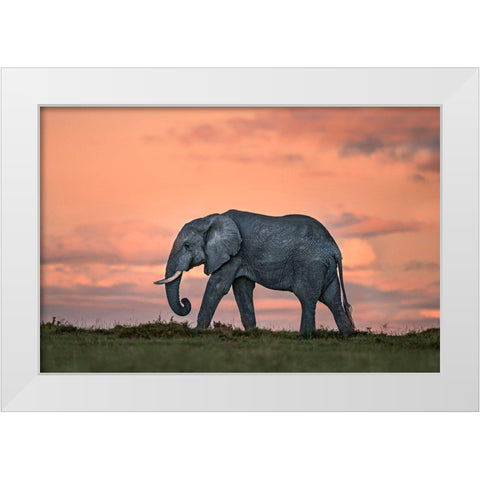 Elephant At Dusk White Modern Wood Framed Art Print by Ortega, Xavier