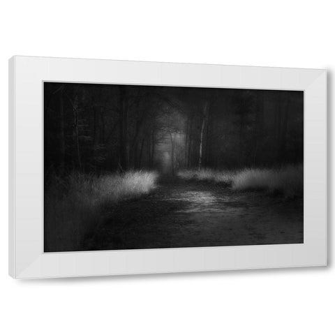 Shades In Black White Modern Wood Framed Art Print by Dingemans, Saskia