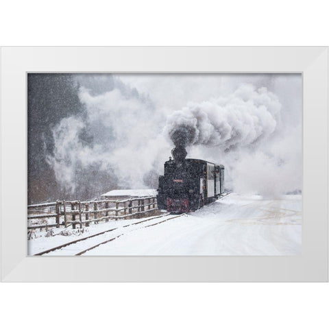 Mocanita Hutulca White Modern Wood Framed Art Print by Dorin Lucian, Sveduneac