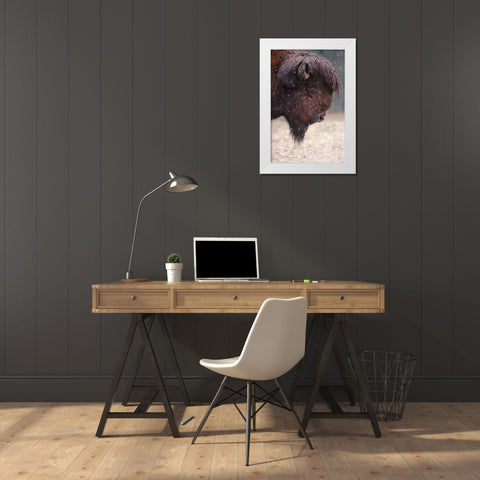Bison In Winter White Modern Wood Framed Art Print by Ozmen -, Ozkan