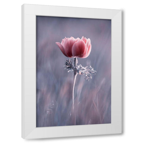 Pink ! So What ? White Modern Wood Framed Art Print by Bravin, Fabien