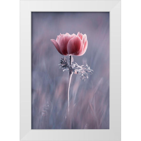 Pink ! So What ? White Modern Wood Framed Art Print by Bravin, Fabien