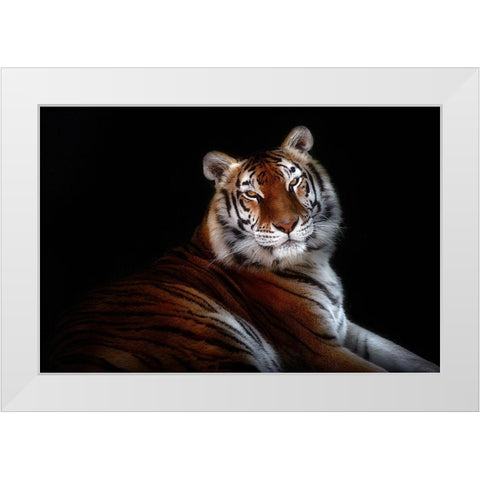 Serenity White Modern Wood Framed Art Print by Pascual Buye, Santiago