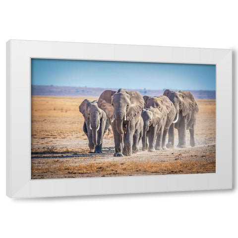 The Titans White Modern Wood Framed Art Print by C. Sink, Jeffrey