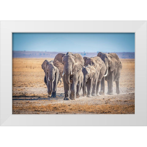 The Titans White Modern Wood Framed Art Print by C. Sink, Jeffrey
