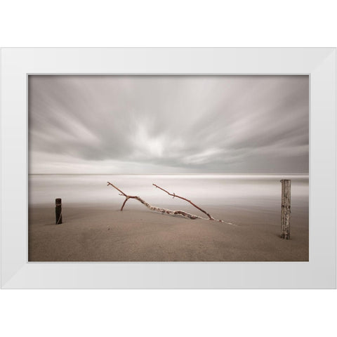 In The Wind White Modern Wood Framed Art Print by Della Latta, Massimo
