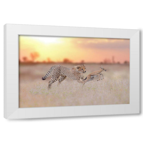 Cheetah Hunting A Gazelle White Modern Wood Framed Art Print by Ozmen, Ozkan